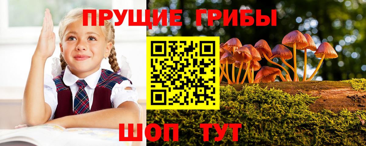Галлюциногенные грибы прущие грибы Учалы